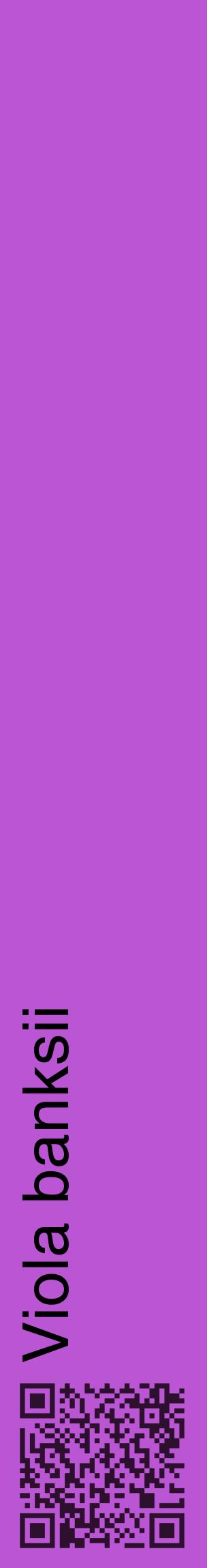 Étiquette de : Viola banksii - format c - style noire50_basiquehel avec qrcode et comestibilité
