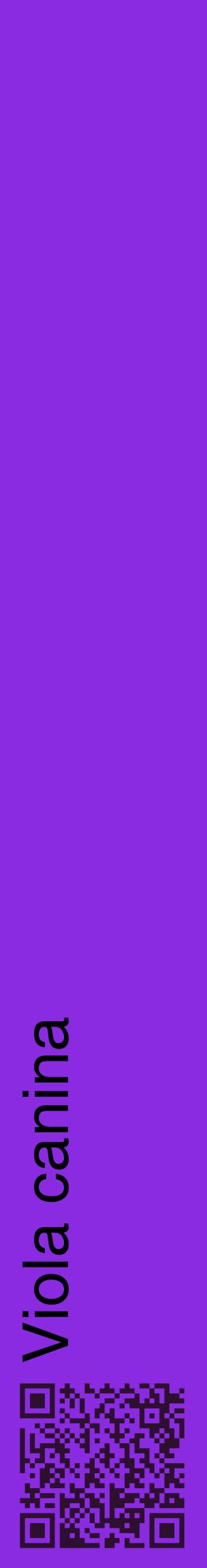 Étiquette de : Viola canina - format c - style noire49_basiquehel avec qrcode et comestibilité