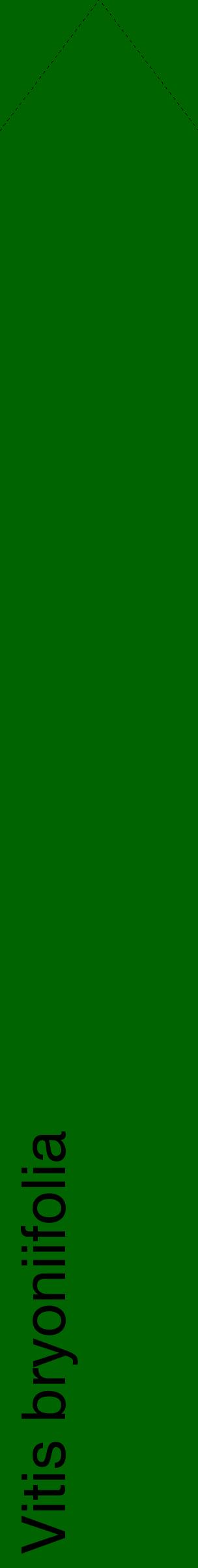 Étiquette de : Vitis bryoniifolia - format c - style noire8_simplehel avec comestibilité