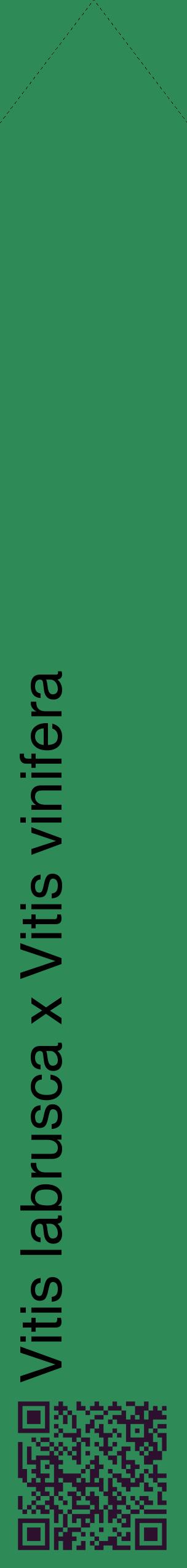 Étiquette de : Vitis labrusca x Vitis vinifera - format c - style noire11_simplehel avec qrcode et comestibilité