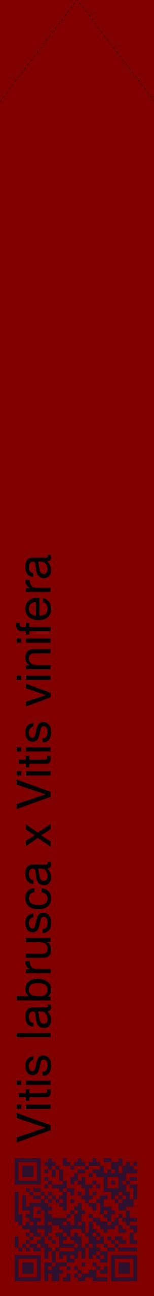 Étiquette de : Vitis labrusca x Vitis vinifera - format c - style noire29_simplehel avec qrcode et comestibilité