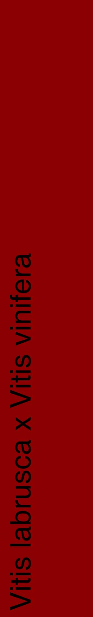 Étiquette de : Vitis labrusca x Vitis vinifera - format c - style noire34_basiquehel avec comestibilité