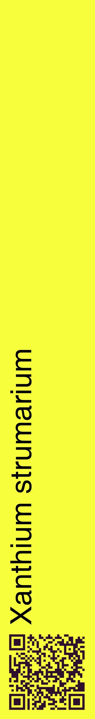 Étiquette de : Xanthium strumarium - format c - style noire18_basiquehel avec qrcode et comestibilité