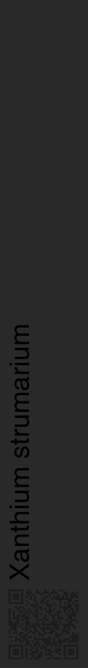 Étiquette de : Xanthium strumarium - format c - style noire34_basique_basiquehel avec qrcode et comestibilité - position verticale
