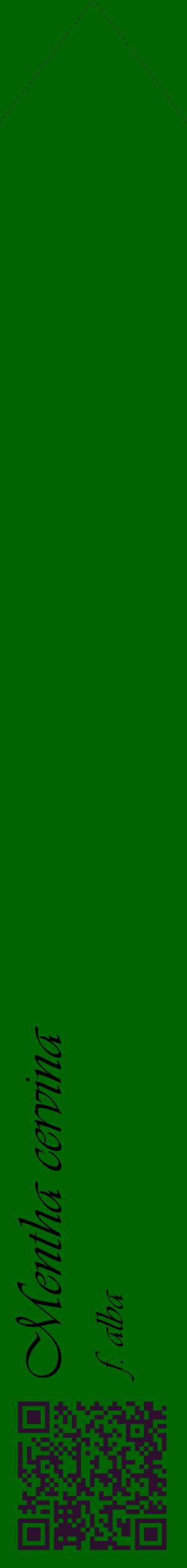 Étiquette de : Mentha cervina f. alba - format c - style noire8_simpleviv avec qrcode et comestibilité