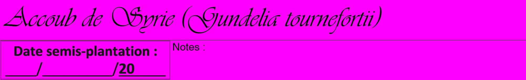 Étiquette de : Gundelia tournefortii - format a - style noire51viv avec comestibilité