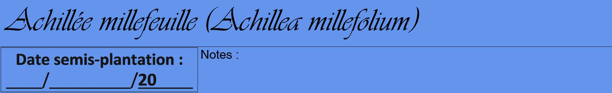 Étiquette de : Achillea millefolium - format a - style noire4viv avec comestibilité