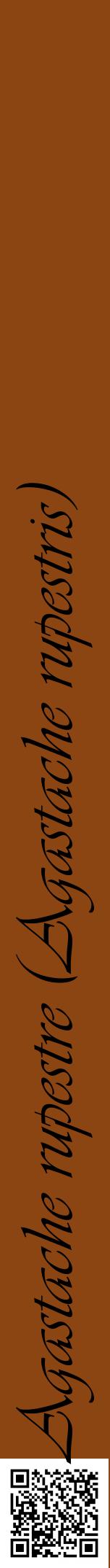 Étiquette de : Agastache rupestris - format a - style noire30viv avec qrcode et comestibilité