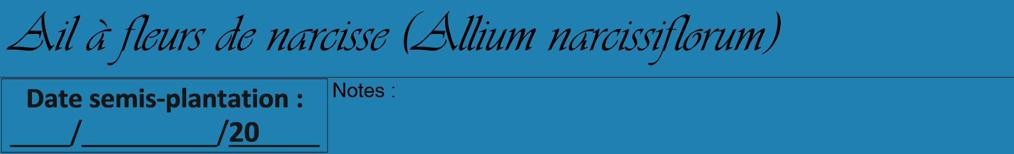 Étiquette de : Allium narcissiflorum - format a - style noire6viv avec comestibilité