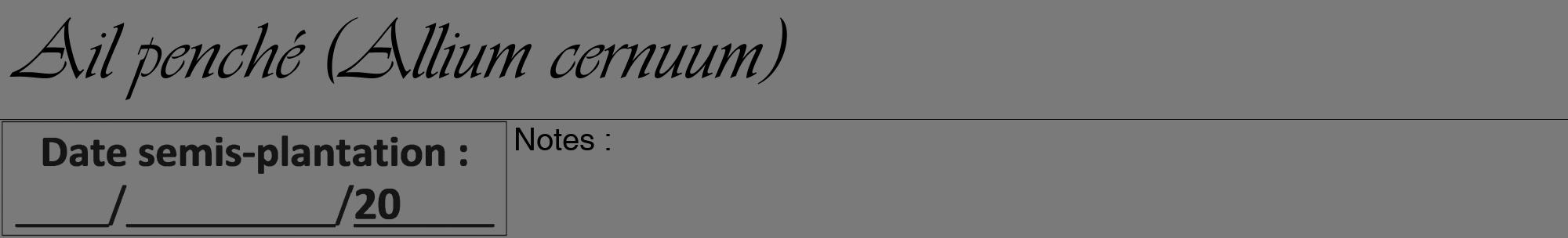 Étiquette de : Allium cernuum - format a - style noire3viv avec comestibilité