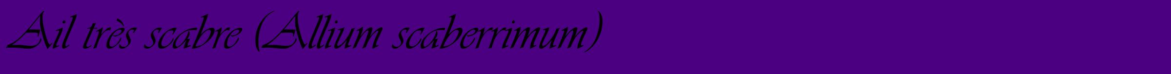 Étiquette de : Allium scaberrimum - format a - style noire47simpleviv avec comestibilité