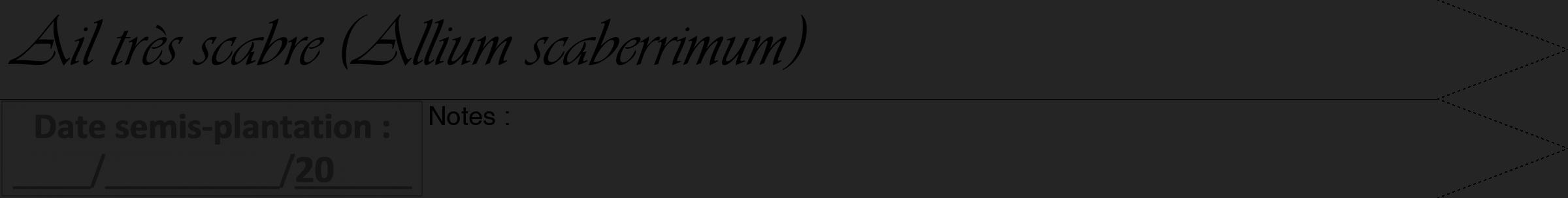 Étiquette de : Allium scaberrimum - format a - style noire47simpleviv avec comestibilité