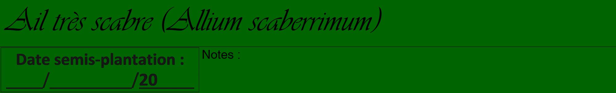 Étiquette de : Allium scaberrimum - format a - style noire8viv avec comestibilité