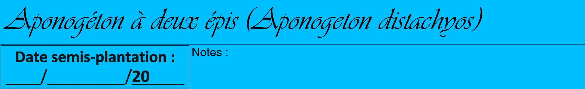 Étiquette de : Aponogeton distachyos - format a - style noire2viv avec comestibilité