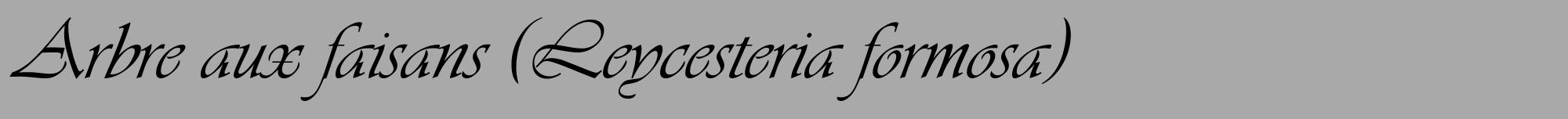 Étiquette de : Leycesteria formosa - format a - style noire13viv avec comestibilité