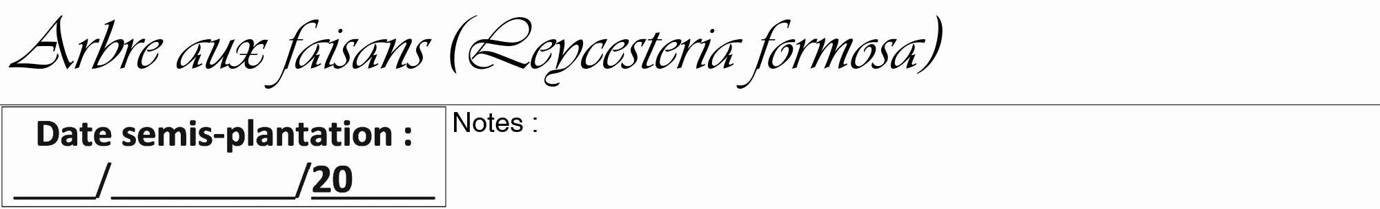 Étiquette de : Leycesteria formosa - format a - style noire19viv avec comestibilité