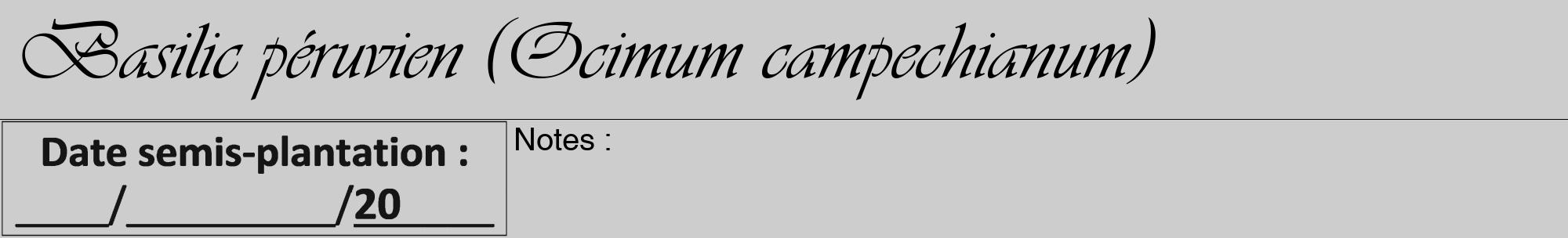 Étiquette de : Ocimum campechianum - format a - style noire41viv avec comestibilité