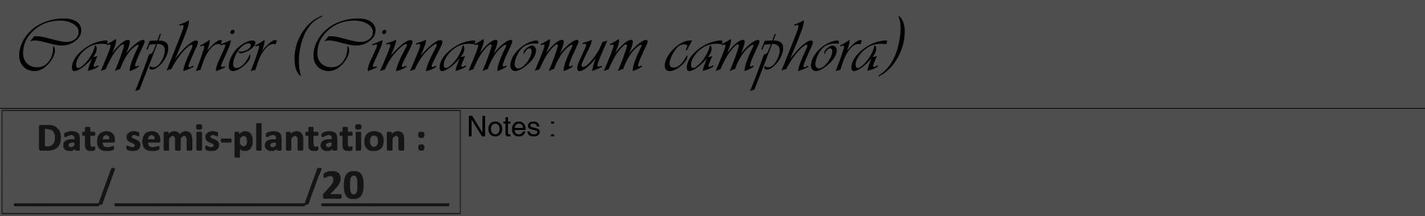 Étiquette de : Cinnamomum camphora - format a - style noire33viv avec comestibilité