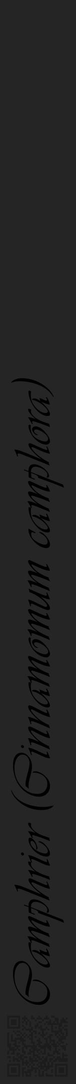 Étiquette de : Cinnamomum camphora - format a - style noire47viv avec qrcode et comestibilité - position verticale