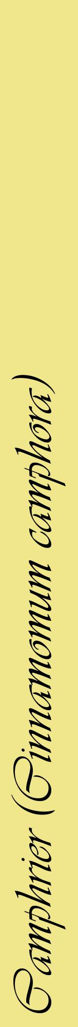 Étiquette de : Cinnamomum camphora - format a - style noire20viv avec comestibilité
