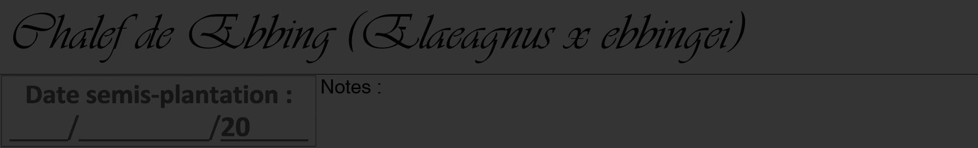 Étiquette de : Elaeagnus x ebbingei - format a - style noire46viv avec comestibilité
