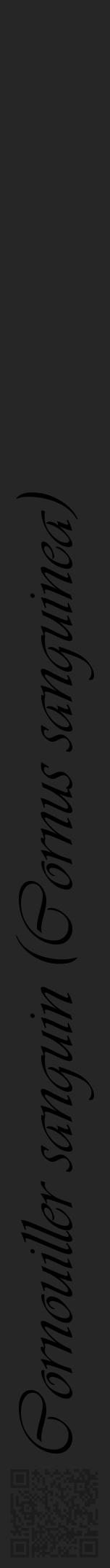 Étiquette de : Cornus sanguinea - format a - style noire29viv avec qrcode et comestibilité - position verticale
