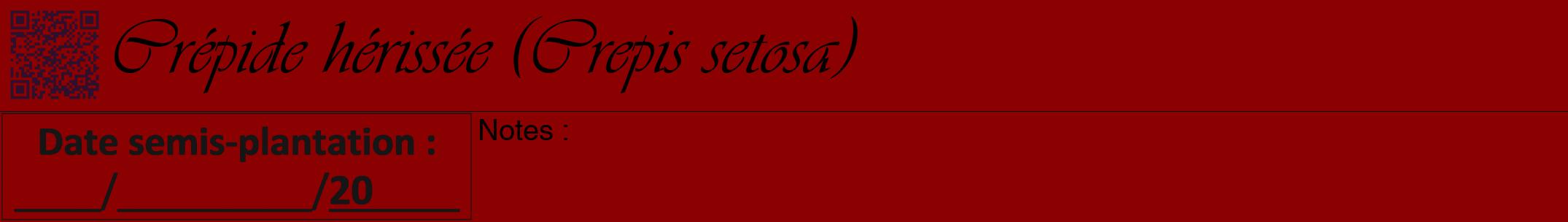 Étiquette de : Crepis setosa - format a - style noire34viv avec qrcode et comestibilité