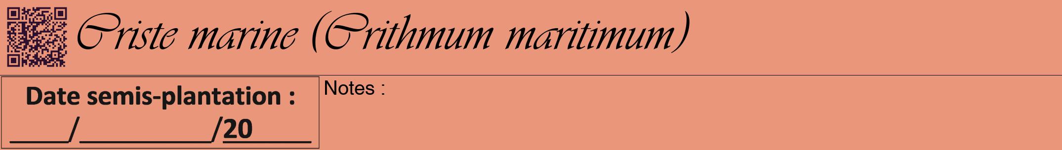 Étiquette de : Crithmum maritimum - format a - style noire37viv avec qrcode et comestibilité