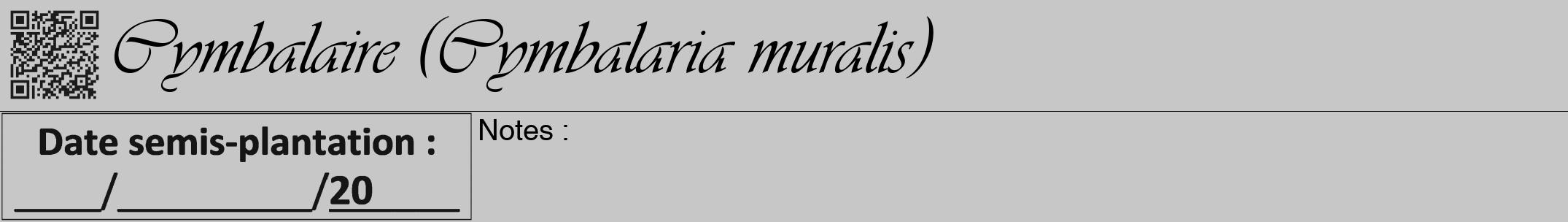 Étiquette de : Cymbalaria muralis - format a - style noire15viv avec qrcode et comestibilité