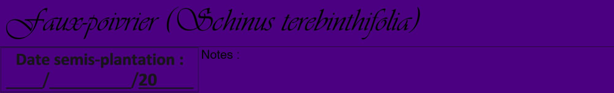 Étiquette de : Schinus terebinthifolia - format a - style noire47viv avec comestibilité