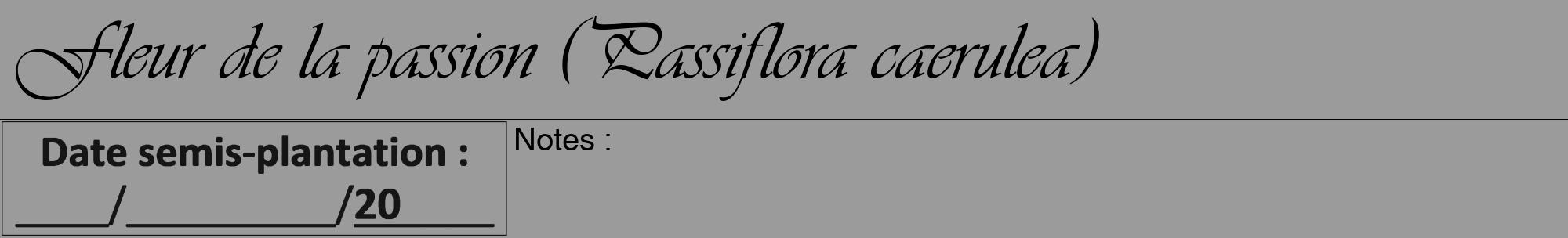Étiquette de : Passiflora caerulea - format a - style noire52viv avec comestibilité