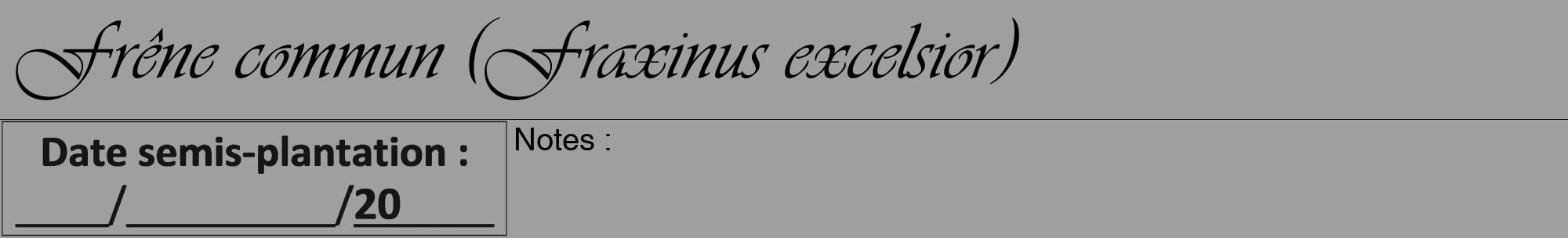 Étiquette de : Fraxinus excelsior - format a - style noire24viv avec comestibilité