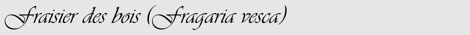 Étiquette de : Fragaria vesca - format a - style noire18viv avec comestibilité