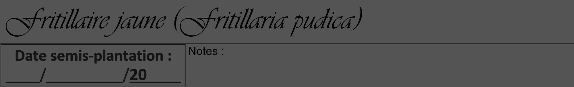 Étiquette de : Fritillaria pudica - format a - style noire36viv avec comestibilité