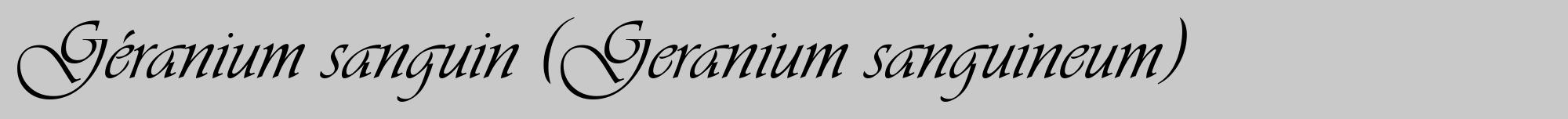 Étiquette de : Geranium sanguineum - format a - style noire54viv avec comestibilité