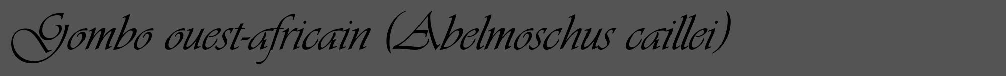 Étiquette de : Abelmoschus caillei - format a - style noire30viv avec comestibilité