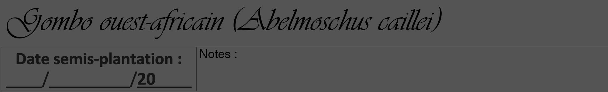 Étiquette de : Abelmoschus caillei - format a - style noire30viv avec comestibilité