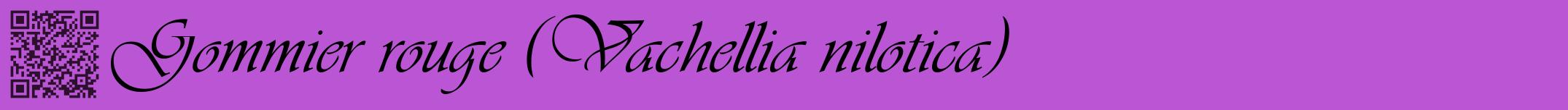 Étiquette de : Vachellia nilotica - format a - style noire50simpleviv avec qrcode et comestibilité