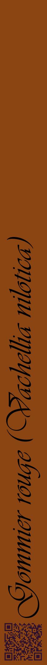 Étiquette de : Vachellia nilotica - format a - style noire30viv avec qrcode et comestibilité