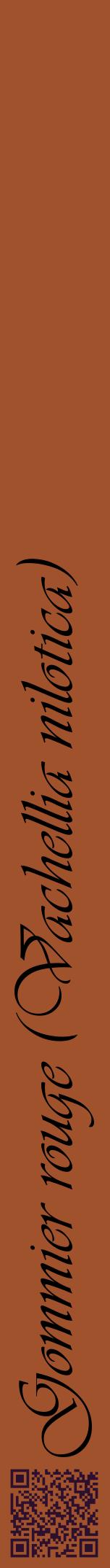 Étiquette de : Vachellia nilotica - format a - style noire32viv avec qrcode et comestibilité