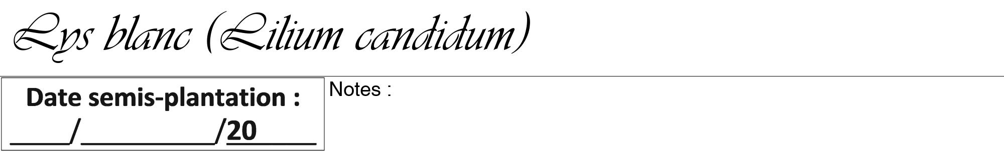 Étiquette de : Lilium candidum - format a - style noire60viv avec comestibilité