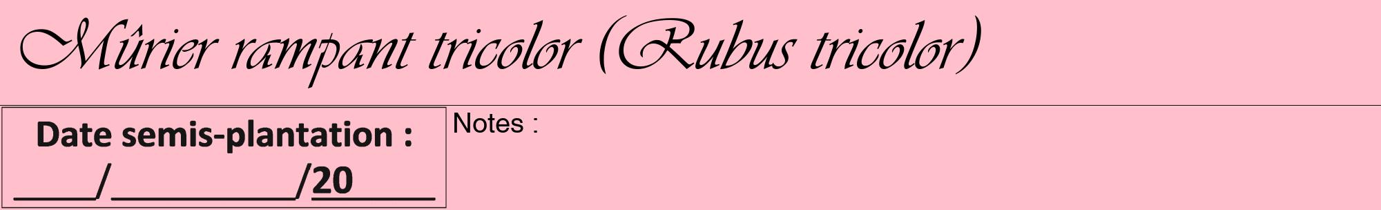 Étiquette de : Rubus tricolor - format a - style noire40viv avec comestibilité