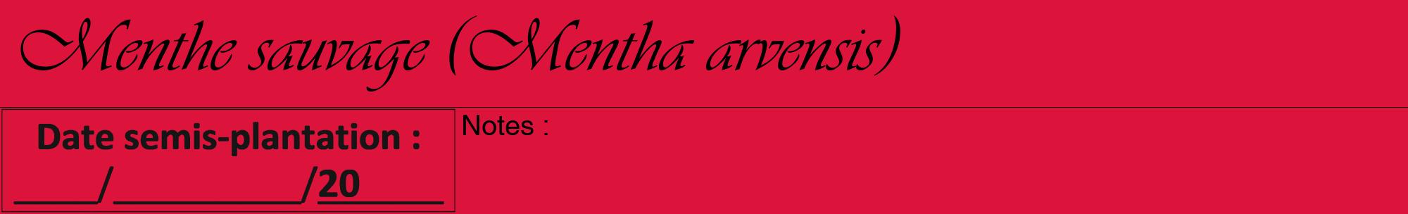 Étiquette de : Mentha arvensis - format a - style noire36viv avec comestibilité