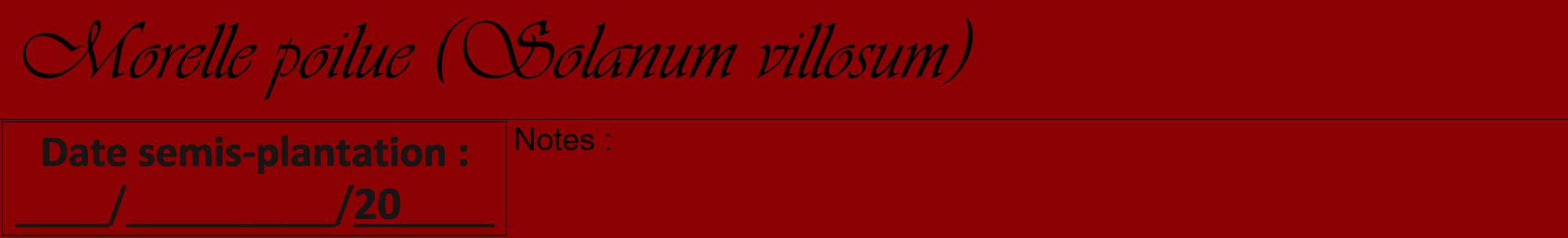 Étiquette de : Solanum villosum - format a - style noire34viv avec comestibilité