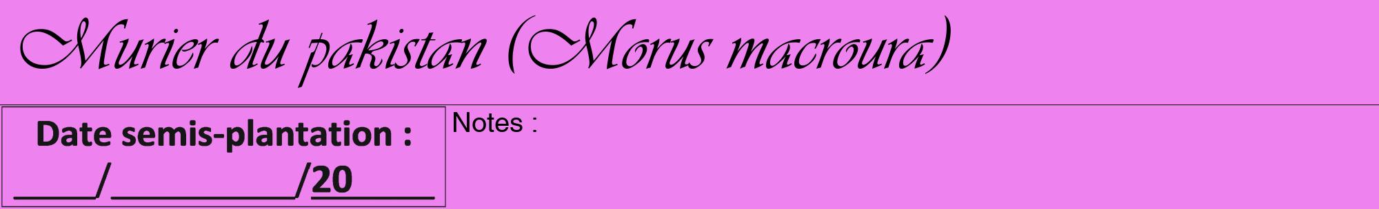 Étiquette de : Morus macroura - format a - style noire53viv avec comestibilité