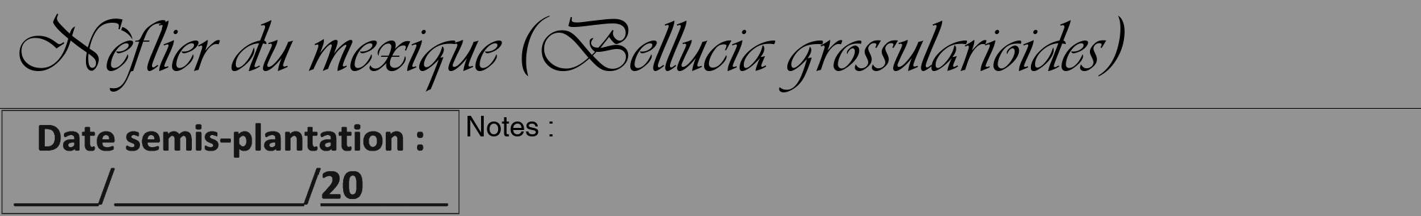 Étiquette de : Bellucia grossularioides - format a - style noire44viv avec comestibilité