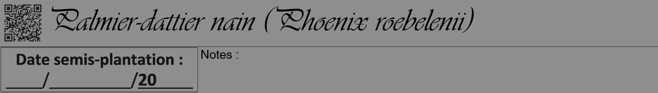 Étiquette de : Phoenix roebelenii - format a - style noire25viv avec qrcode et comestibilité