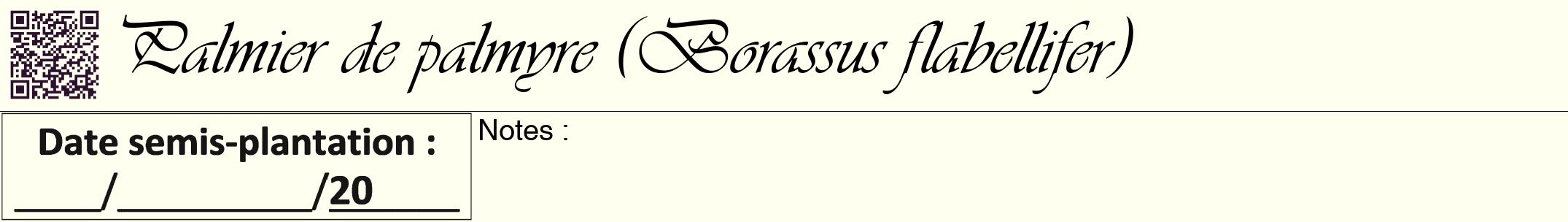 Étiquette de : Borassus flabellifer - format a - style noire19viv avec qrcode et comestibilité