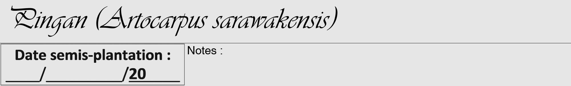 Étiquette de : Artocarpus sarawakensis - format a - style noire18viv avec comestibilité