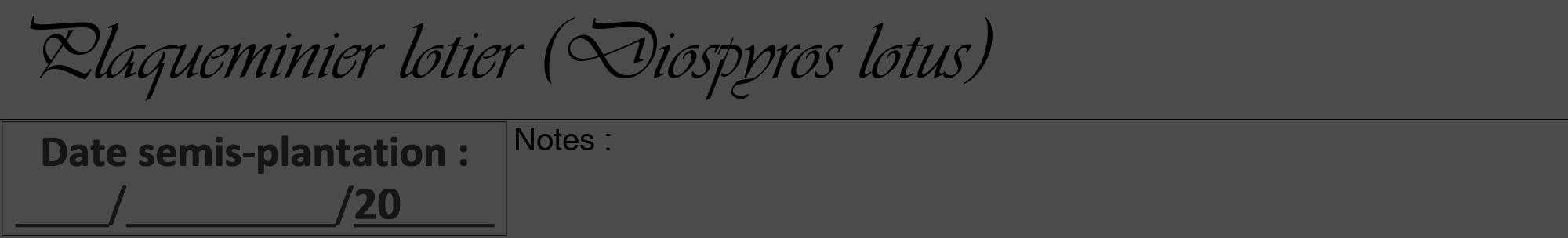 Étiquette de : Diospyros lotus - format a - style noire9viv avec comestibilité